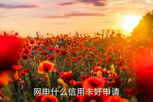 網(wǎng)申什么信用卡好申請