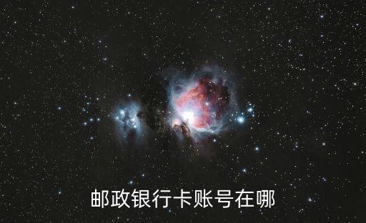 郵政儲蓄微銀行是什么銀行卡號，955100開頭的是什么銀行的卡號