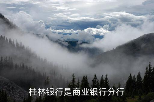 桂林銀行是商業(yè)銀行分行