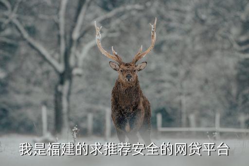 我是福建的求推薦安全的網(wǎng)貸平臺