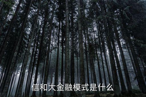 信和大金融模式是什么