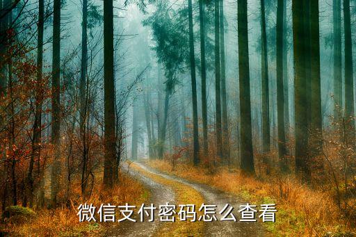 微信支付密碼怎么查看