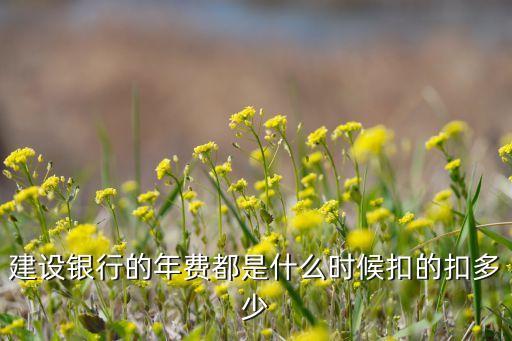 建設(shè)銀行的年費都是什么時候扣的扣多少