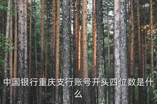 中國銀行卡號開頭代表什么，中國銀行卡前面幾位數(shù)是什么