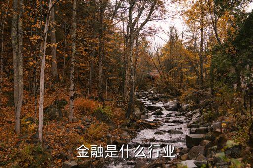 金融屬于什么企業(yè)文化，金融管理公司的工作性質(zhì)是什么