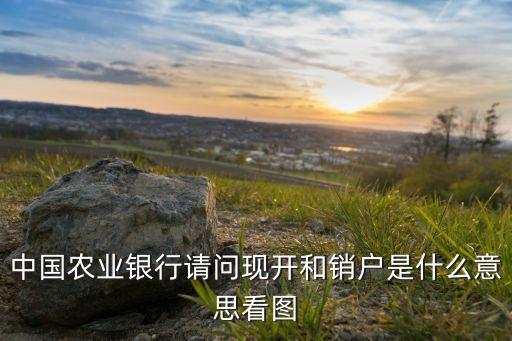 銀行開戶銷戶什么意思，在銀行里什么叫做銷卡和銷戶
