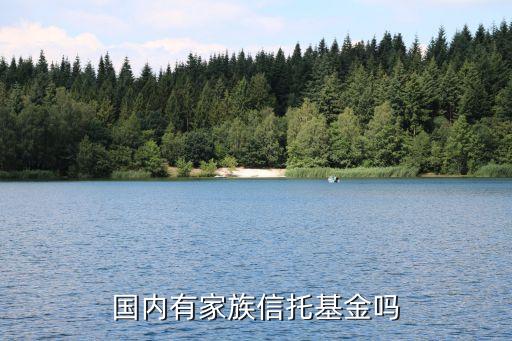 什么家族信托，國內(nèi)家族信托的主要模式有哪些