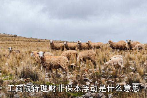 工商銀行理財非保本浮動是什么意思