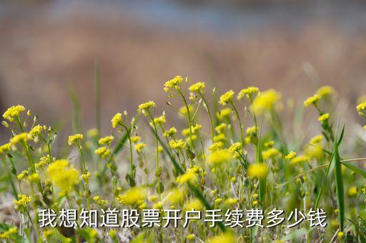 股票開(kāi)戶要什么手續(xù)費(fèi)嗎，股票開(kāi)戶收費(fèi)嗎