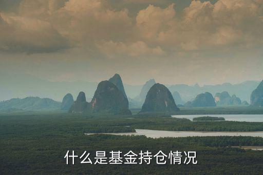 什么是基金持倉情況