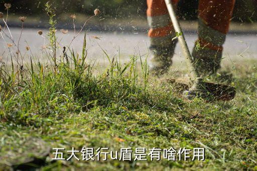 民生銀行u盾有什么用，五大銀行u盾是有啥作用
