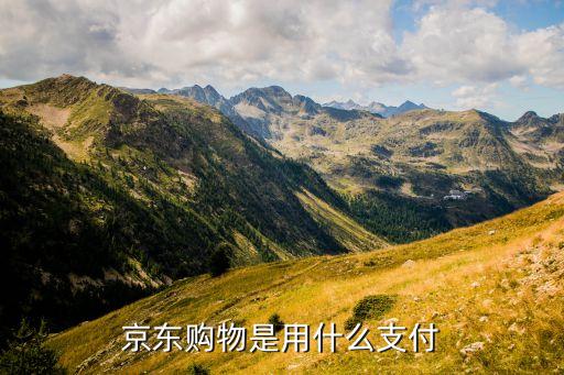 京東都是什么支付寶，京東是用什么支付的