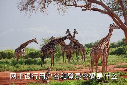 網(wǎng)銀賬號和密碼是什么，個人網(wǎng)銀賬號和密碼指的是什么不是卡的密碼嗎