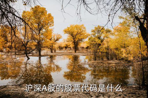 上海a股代碼是什么意思，請(qǐng)問深圳a股和上海a股的代號(hào)開頭分別是什么