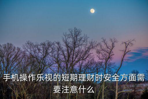 手機(jī)操作樂(lè)視的短期理財(cái)時(shí)安全方面需要注意什么