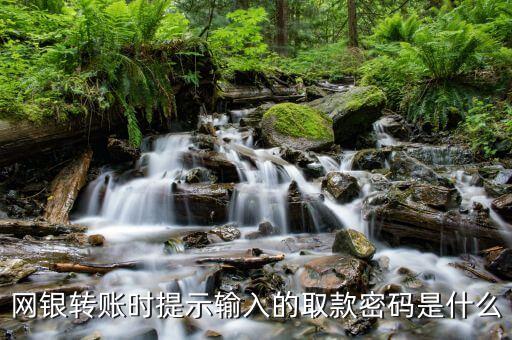 網(wǎng)銀轉(zhuǎn)賬時提示輸入的取款密碼是什么