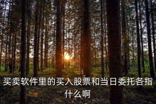 買賣軟件里的買入股票和當日委托各指什么啊