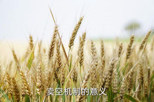 賣(mài)空機(jī)制的意義