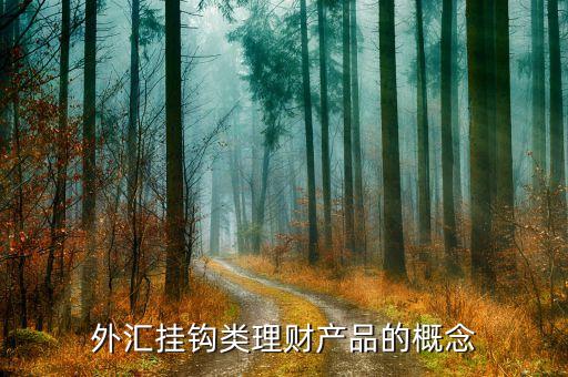外匯掛鉤類理財(cái)產(chǎn)品的概念