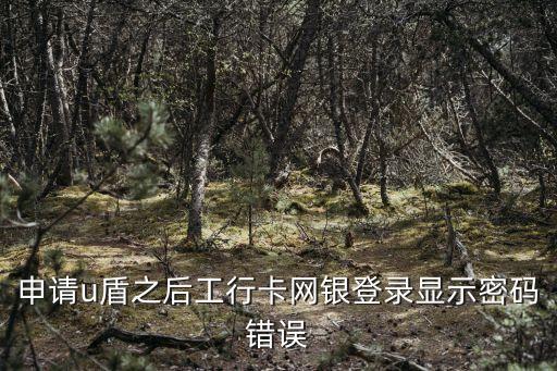 工行辦理u盾后短信密碼是什么原因，U盾出現(xiàn)PIN密碼是什么意思