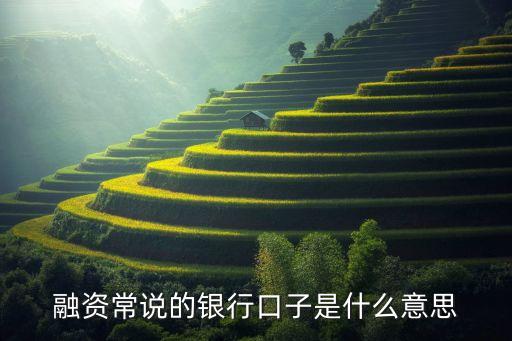 融資常說的銀行口子是什么意思