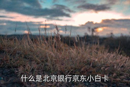 什么是北京銀行京東小白卡