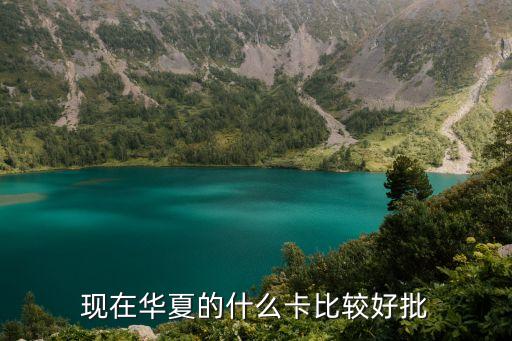 現(xiàn)在華夏的什么卡比較好批