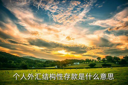 個人外匯結(jié)構(gòu)性存款是什么意思