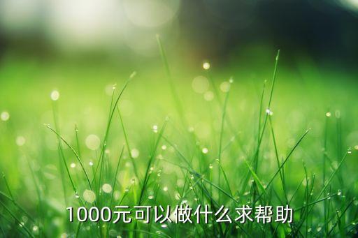 1000元可以做什么求幫助
