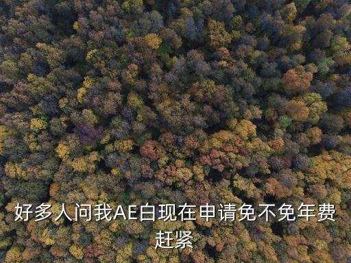 好多人問我AE白現(xiàn)在申請免不免年費趕緊