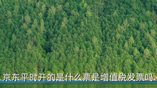京東票據(jù)是什么，京東上寫的紙質(zhì)發(fā)票是什么意思