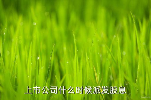 上市公司什么時(shí)候派息，上市公司一般什么時(shí)候派息