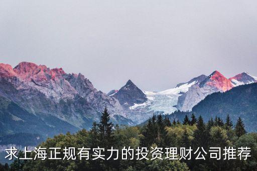 求上海正規(guī)有實(shí)力的投資理財(cái)公司推薦