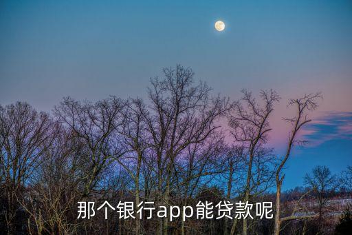 那個(gè)銀行app能貸款呢