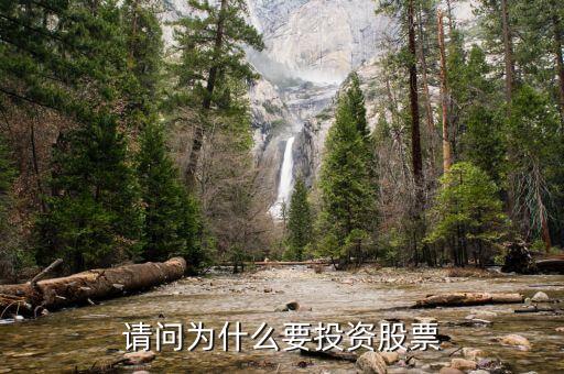 請問為什么要投資股票