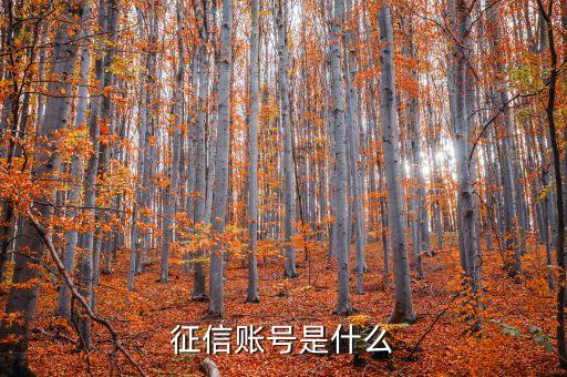 征信報(bào)告帳號(hào)是什么，征信帳號(hào)是什么