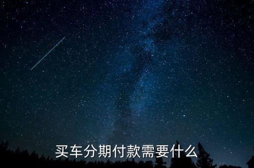 買車分期付款需要什么