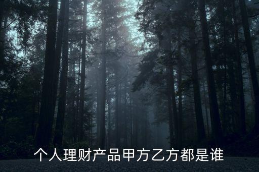 個人投資產(chǎn)品屬于什么關(guān)系，個人理財產(chǎn)品甲方乙方都是誰