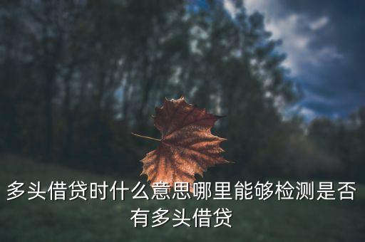 多頭借貸時什么意思哪里能夠檢測是否有多頭借貸