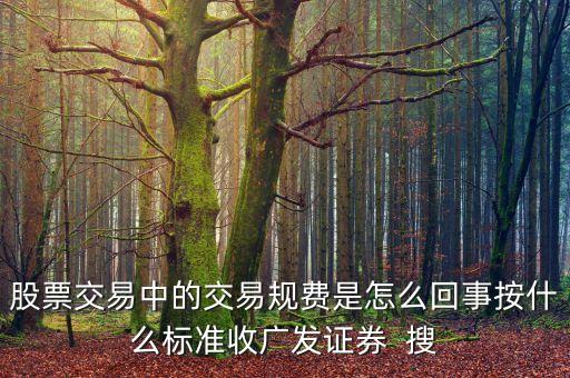 股票交易中的交易規(guī)費(fèi)是怎么回事按什么標(biāo)準(zhǔn)收廣發(fā)證券  搜