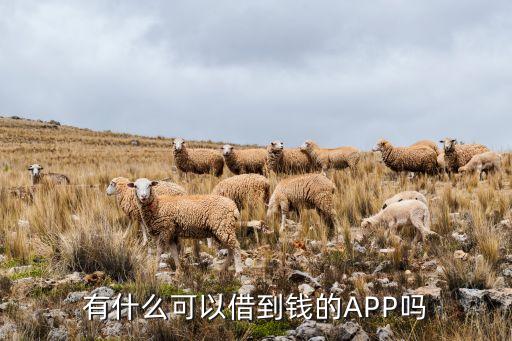 有什么可以借到錢的APP嗎