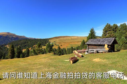 上海拍拍貸打什么電話號(hào)碼，請問誰知道上海金融拍拍貸的客服電話