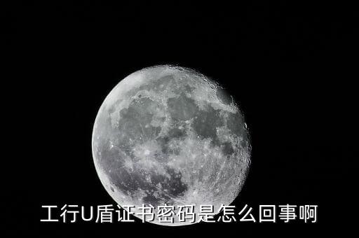 工行U盾證書密碼是怎么回事啊