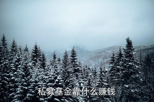 私募靠什么賺錢(qián)嗎，私募基金靠什么賺錢(qián)