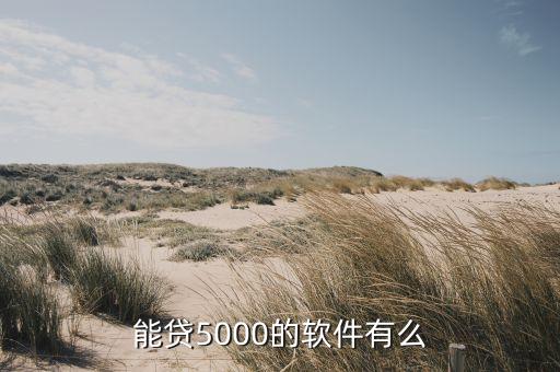 能貸5000的軟件有么