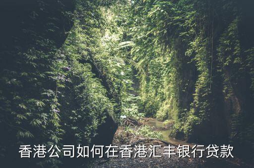 香港公司如何在香港匯豐銀行貸款