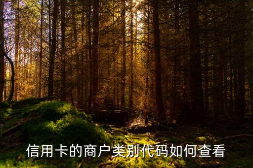 信用卡代碼怎么看，信用卡的商戶類別代碼如何查看