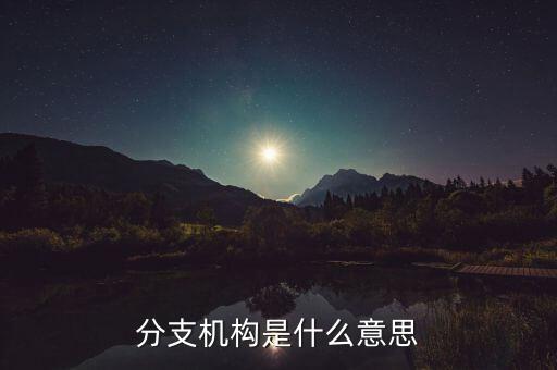 分支機(jī)構(gòu)是什么意思