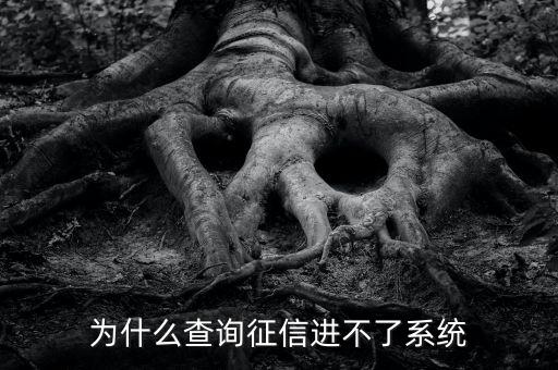 為什么查詢征信進不了系統(tǒng)