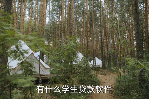 大學(xué)生貸款軟件有什么，有什么好的貸款平臺(tái)適合大學(xué)生